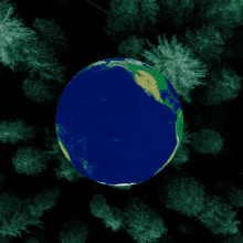 Earth C40 GIF - Earth C40 Novo GIFs