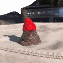frog strawberry