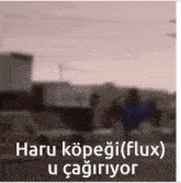 a blurry picture of a street with the words haru kopegi ( flux ) u cagiriyor on the bottom