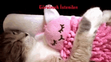 Cat Sarilmak GIF - Cat Sarilmak Snuggle GIFs