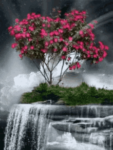flowers growing forest waterfall