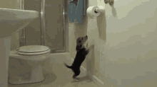 Dogs Daily Mission GIF - Dog Toilet Paper GIFs