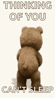 Ted Drink GIF