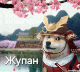 a picture of a dog dressed as a samurai with the word mintydoge on the bottom