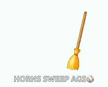 a picture of a broom with the words horns sweep ags on the bottom