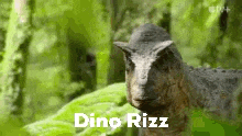 a close up of a dinosaur in the woods with the name dino rizz on it .