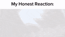 Mge My Honest Reaction GIF - Mge My Honest Reaction Dimopay GIFs
