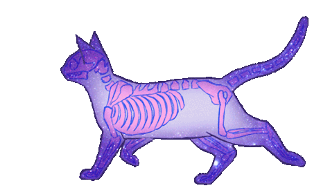 skeleton-cat.gif