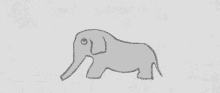 Elefante Eaten GIF - Elefante Eaten Snake GIFs