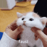Faust Cat Cat Meme GIF - Faust Cat Cat Meme Cute Cat GIFs