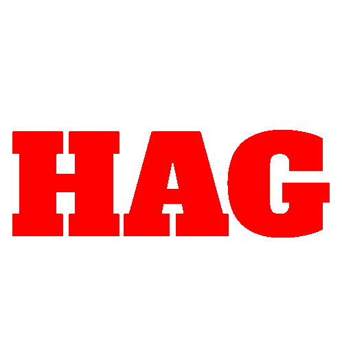 Hag Diya Blunder Hag Diya Sticker - Hag Diya Blunder Hag Diya Stickers