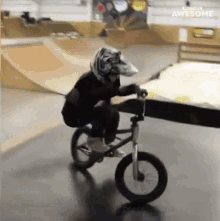 Go Down People Are Awesome GIF