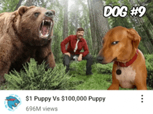 a man is sitting in the woods with a bear and two dogs behind him