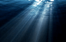 Water Sunliteocean GIF - Water Sunliteocean Bluelight GIFs