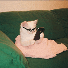 a white kitten wearing glasses is sitting on a green couch holding a cell phone
