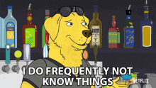 I Do Frequently Not Know Things Mr Peanutbutter GIF - I Do Frequently Not Know Things Mr Peanutbutter Paul Tompkins GIFs