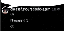 a screenshot of a conversation between cheeseflavouredbubblegum and n-nyaaa-1.3