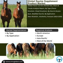 Equine Supplement Product Market GIF - Equine Supplement Product Market GIFs