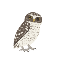 an owl is surrounded by question marks and looks confused