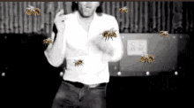 Bees Thom Yorke GIF - Bees Thom Yorke Hive GIFs