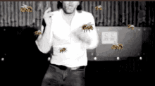 GIF