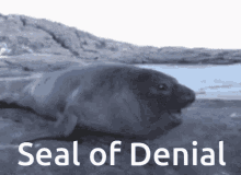 Denial GIF - Denial GIFs