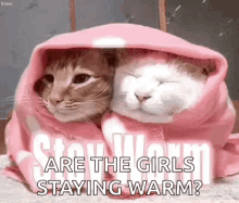 Cold Weather Is Miserable GIF