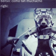 a picture of a dog with the words benson como tan muchacho rigbi written below it
