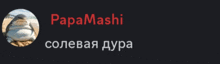 a black background with a picture of a penguin and the words papamashi