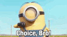 Choice Bro GIF - Despicable Me Minions Choice GIFs