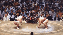 Fight Sumo GIF - Fight Sumo GIFs