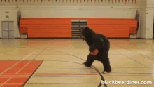 black bear diner bears basketball shoot your shot hoops