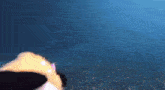a stuffed animal is swimming in the ocean with a blue background