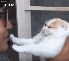 Cat Stop Hooman GIF - Cat Stop Hooman Get Out GIFs