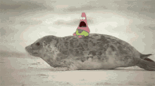 Me Trying Seal GIF - Me Trying Seal Patrick Star GIFs