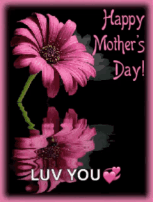 happy mothers day mothers day moms day greeting flower