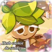 a cartoon character with a green leaf on his head is called herb cookie de sunny