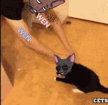 Cets On Creck GIF - Cets On Creck GIFs