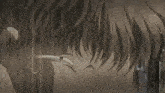 a drawing of a horse with the words " oh no " below it