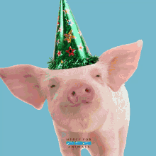 linda piggy birthday