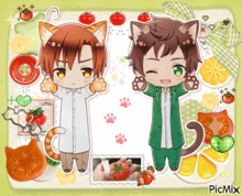a picture of a boy with cat ears and a picture of a cat with a tomato on it