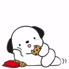 cute adorable dog korea korean