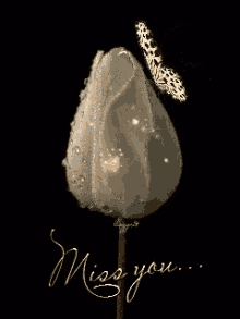 Flower Miss You GIF - Flower Miss You Butterfly GIFs