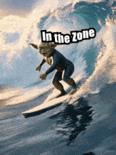 a picture of yoda riding a wave with the words in the zone