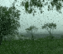 Rain Wind GIF