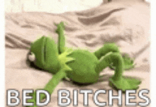 a stuffed kermit the frog is laying on a bed with the words `` bed bitches '' written on it .