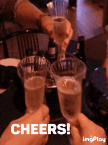 Cheers Celebration GIF