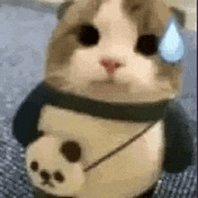 a cat dressed up as a panda bear is sitting on a couch .