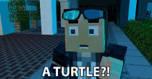 A Turtle Confused GIF - A Turtle Confused Turtle GIFs