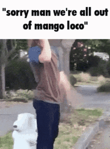 Mango Loco Smash GIF